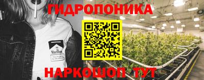 индика Севастополь
