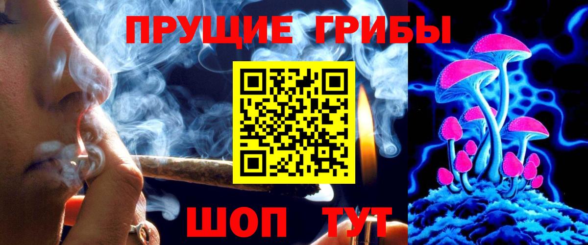 Сокол  Псилоцибиновые грибы мицелий  Вход с VPN 